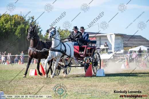 Mintakép 20260926-1099