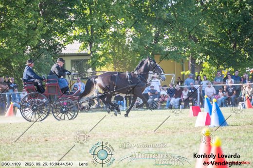 Mintakép 20260926-1108