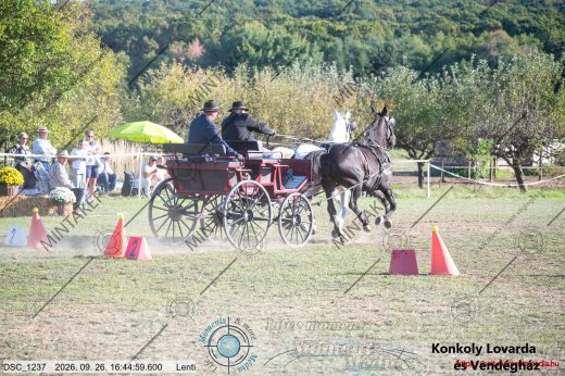 Mintakép 20260926-1123