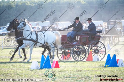 Mintakép 20260926-1125
