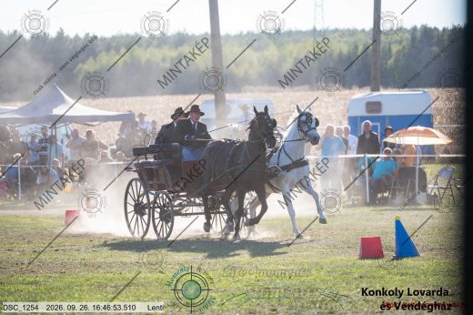 Mintakép 20260926-1132