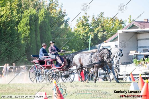 Mintakép 20260926-1169