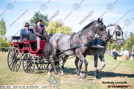 Mintakép 20260926-1171
