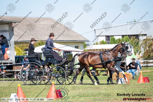 20260926-113739-DSC_0121.jpg