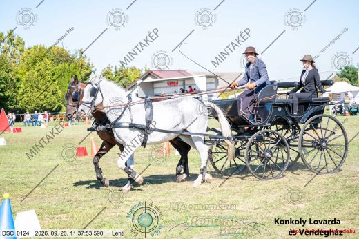 Mintakép 20260926-1175