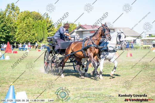 Mintakép 20260926-1177