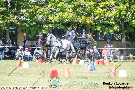 Mintakép 20260926-1178