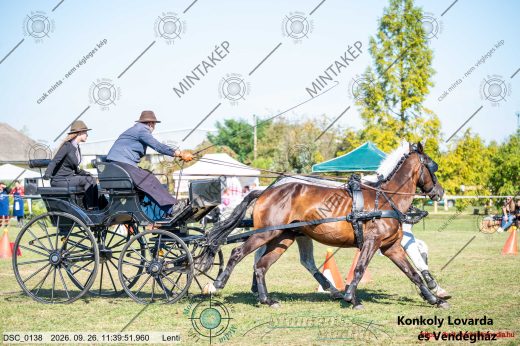 Mintakép 20260926-1182