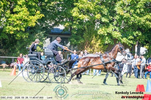 Mintakép 20260926-1186