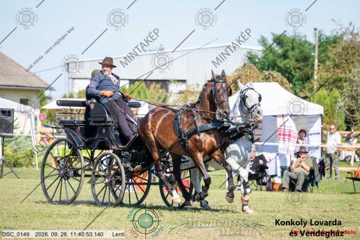 Mintakép 20260926-1193