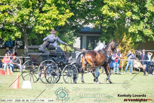 Mintakép 20260926-1194