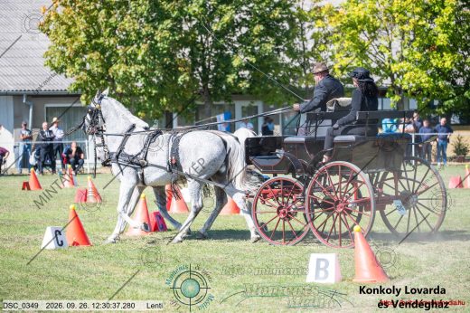 20260926-123037-DSC_0349.jpg