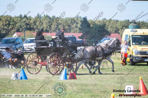 20260926-123047-DSC_0350.jpg