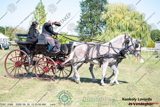 Mintakép 20260926-1228