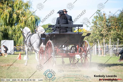 Mintakép 20260926-1242