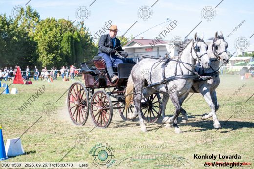 Mintakép 20260926-1267