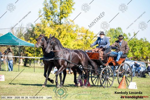 Mintakép 20260926-1281