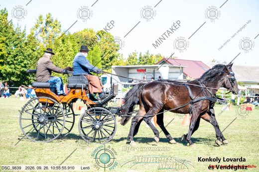 Mintakép 20260926-1283