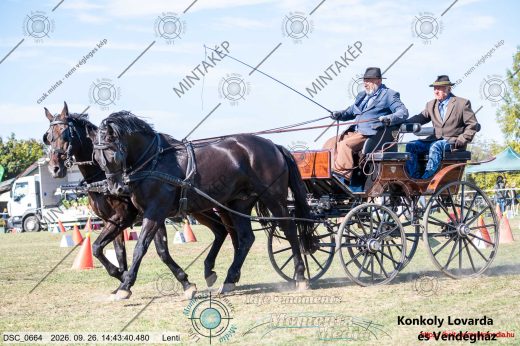 Mintakép 20260926-1291
