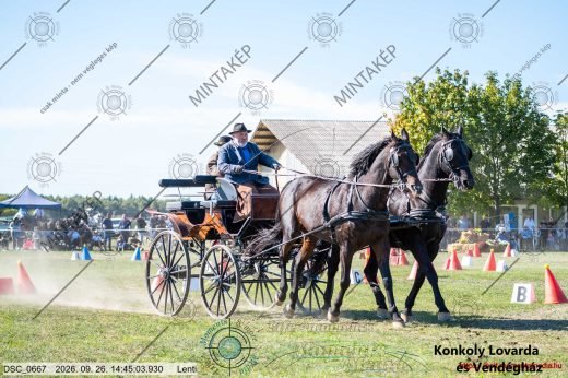 Mintakép 20260926-1292