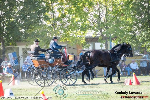Mintakép 20260926-1295