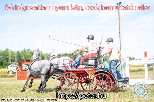 Mintakép 20260613-176