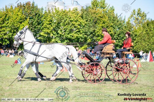 20260926-110342-DSC_9872.jpg