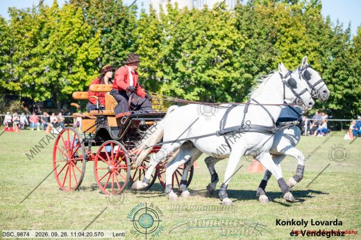 20260926-110420-DSC_9874.jpg