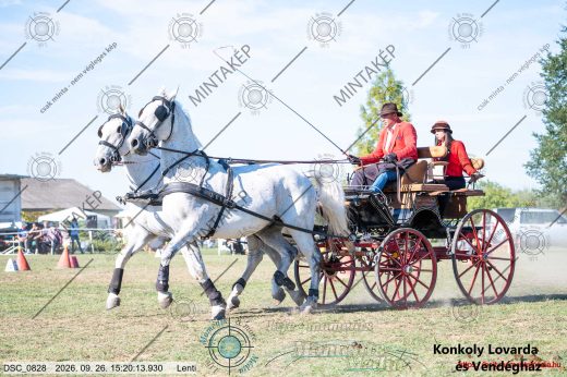 Mintakép 20260926-1316