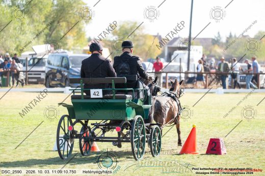 20261003-110910-DSC_2590.jpg