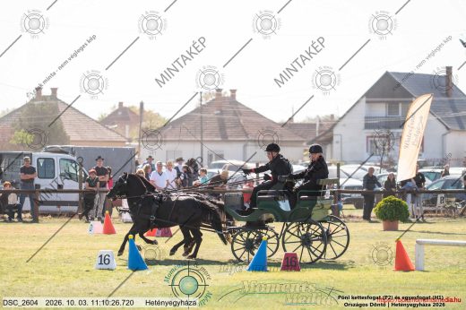 Mintakép 20261003-10