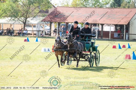 Mintakép 20261003-13