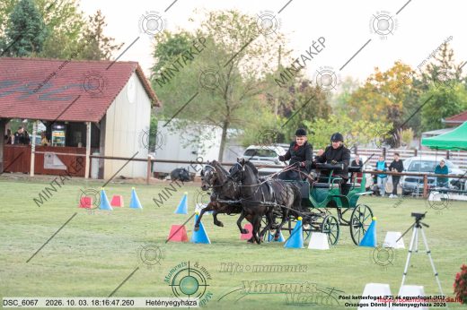 Mintakép 20261003-48