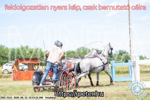 Mintakép 20260613-177
