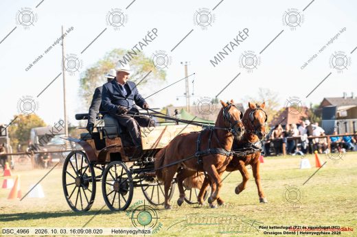 Mintakép 20261003-122
