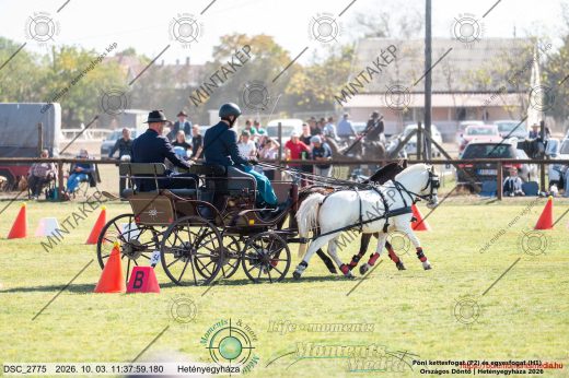20261003-113759-DSC_2775.jpg