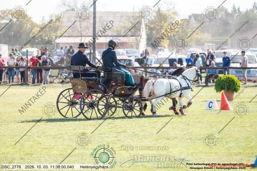 20261003-113800-DSC_2776.jpg