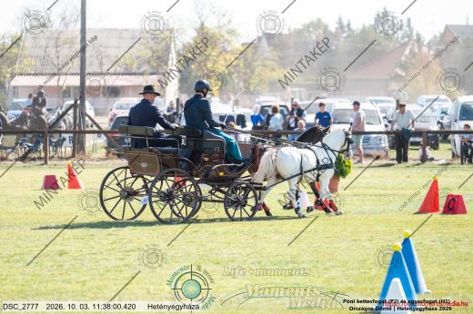 20261003-113800-DSC_2777.jpg
