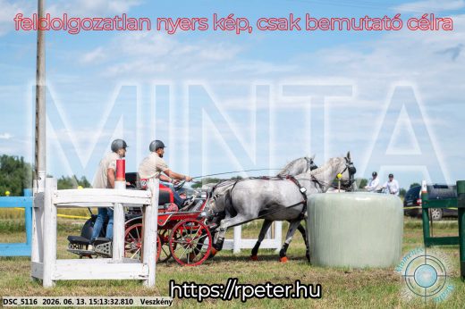 Mintakép 20260613-178