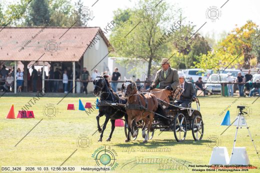 20261003-125636-DSC_3426.jpg