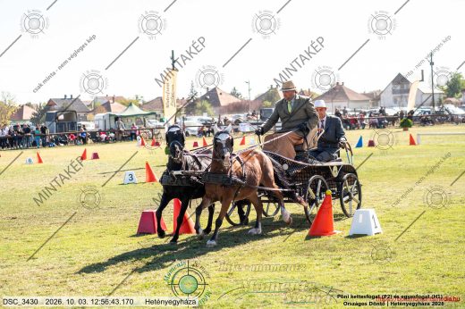 20261003-125643-DSC_3430.jpg