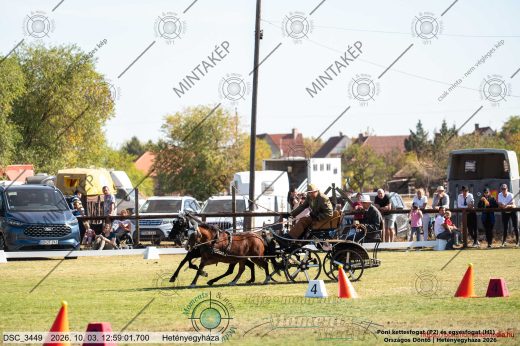 Mintakép 20261003-274
