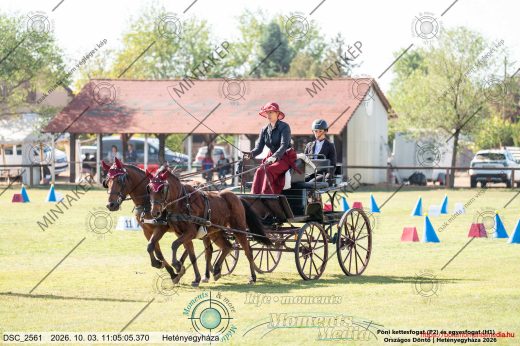 20261003-110505-DSC_2561.jpg