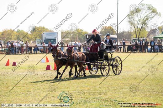 20261003-110524-DSC_2565.jpg