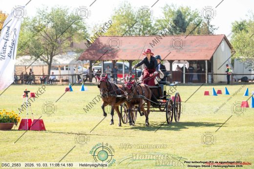 Mintakép 20261003-318