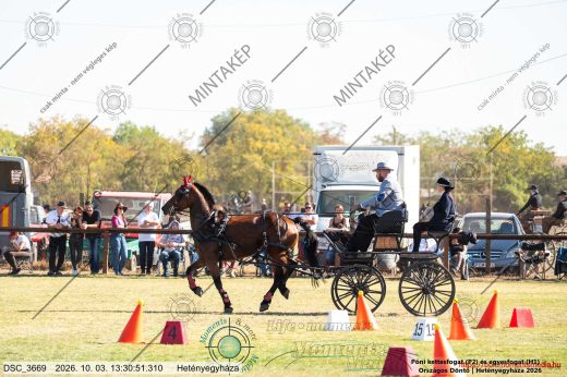 Mintakép 20261003-353