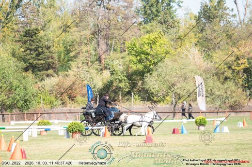 20261003-114637-DSC_2822.jpg