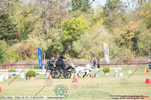 20261003-114637-DSC_2823.jpg