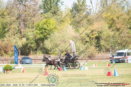 20261003-114641-DSC_2824.jpg