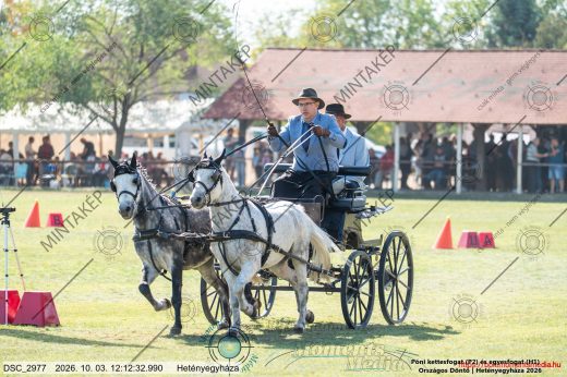 20261003-121232-DSC_2977.jpg
